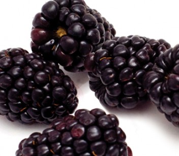 Blackberries are a great source of antioxidants
