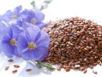 Flaxseeds are high in omega fats that help with blood sugar levels