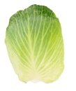 Cabbage has anti-cancer properties as well