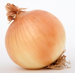 The onion is low in calories and is classed as a negative calorie vegetable