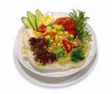 The Zone Diet includes high protein meals