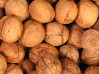 Nuts in moderation can be filling and are packed with healthy omega 3 fatty acids