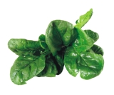 Spinach is low in calories and high in iron
