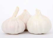 Garlic is a potent anti-inflammatory