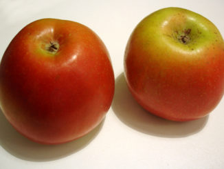 Two apples