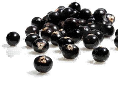 Acai Berries