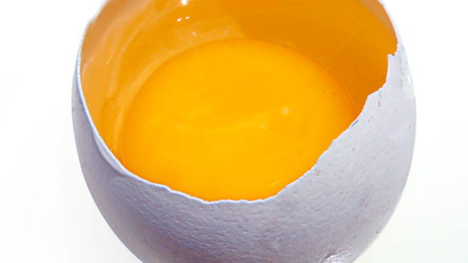 Eggs are quality protein food source