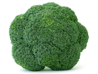 Fresh green broccoli