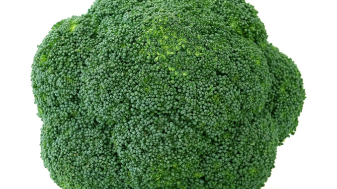 Fresh green broccoli