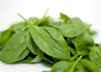 Spinach is an excellent food source for increasing your health