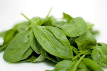 Spinach is an excellent food source for increasing your health