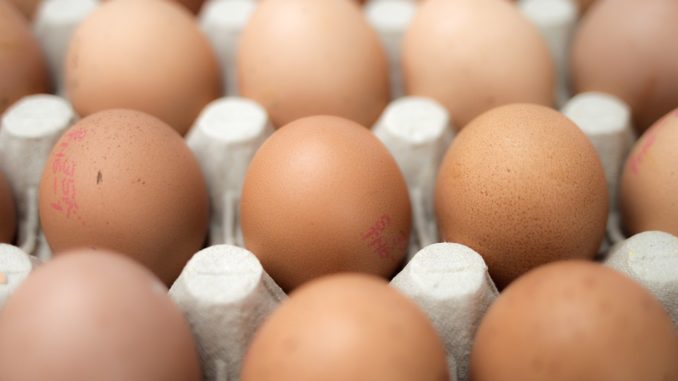 Row of healthy free range eggs