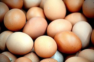 Large amount of free range eggs