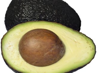 Avocado sliced in healf