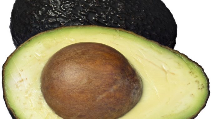 Avocado sliced in healf