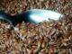Spoon full of flaxseeds