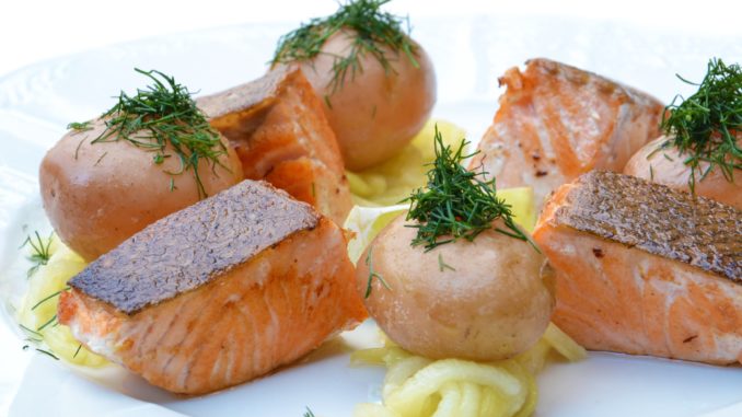 Fresh cooked salmon