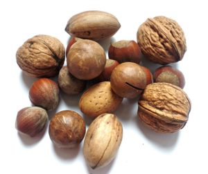 Nuts contain high levels of nutrients and essential fats