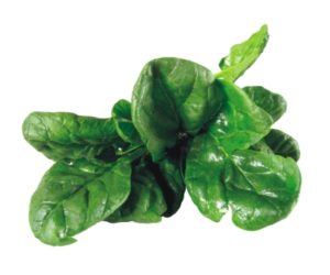 Dark Green Spinach Leaves