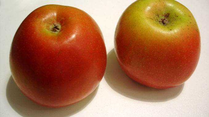 Apples contain high amounts of fibre