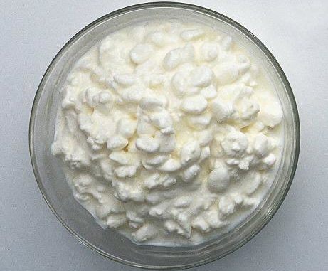 Bowl of Cottage Cheese