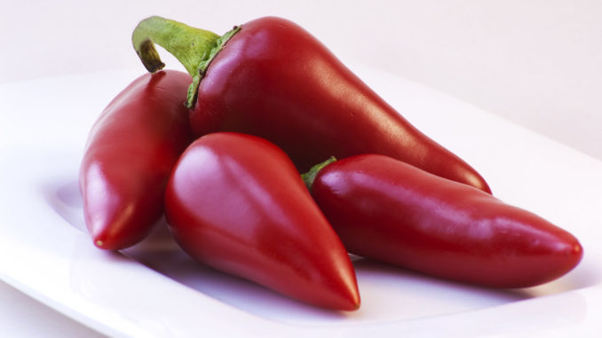 Four Large Red Chilli Peppers