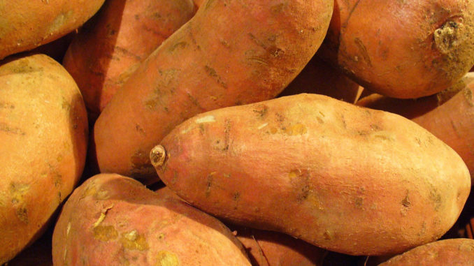 Several Large Sweet Potatoes