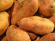Several Large Sweet Potatoes